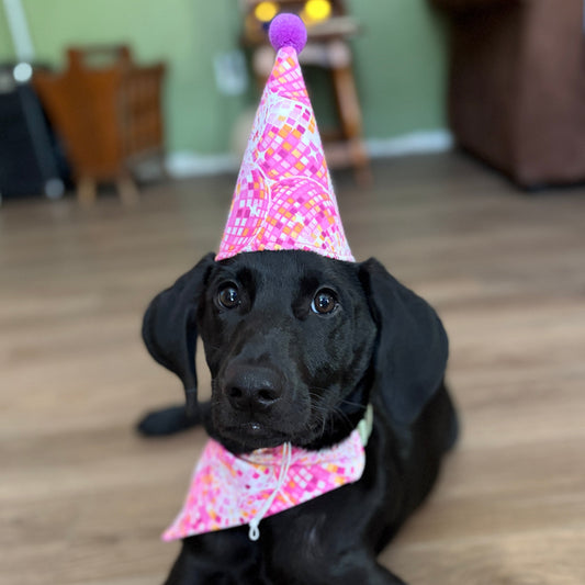Doggy Birthday Hat