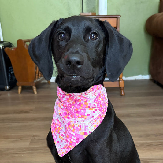 Doggy Birthday Bandanas