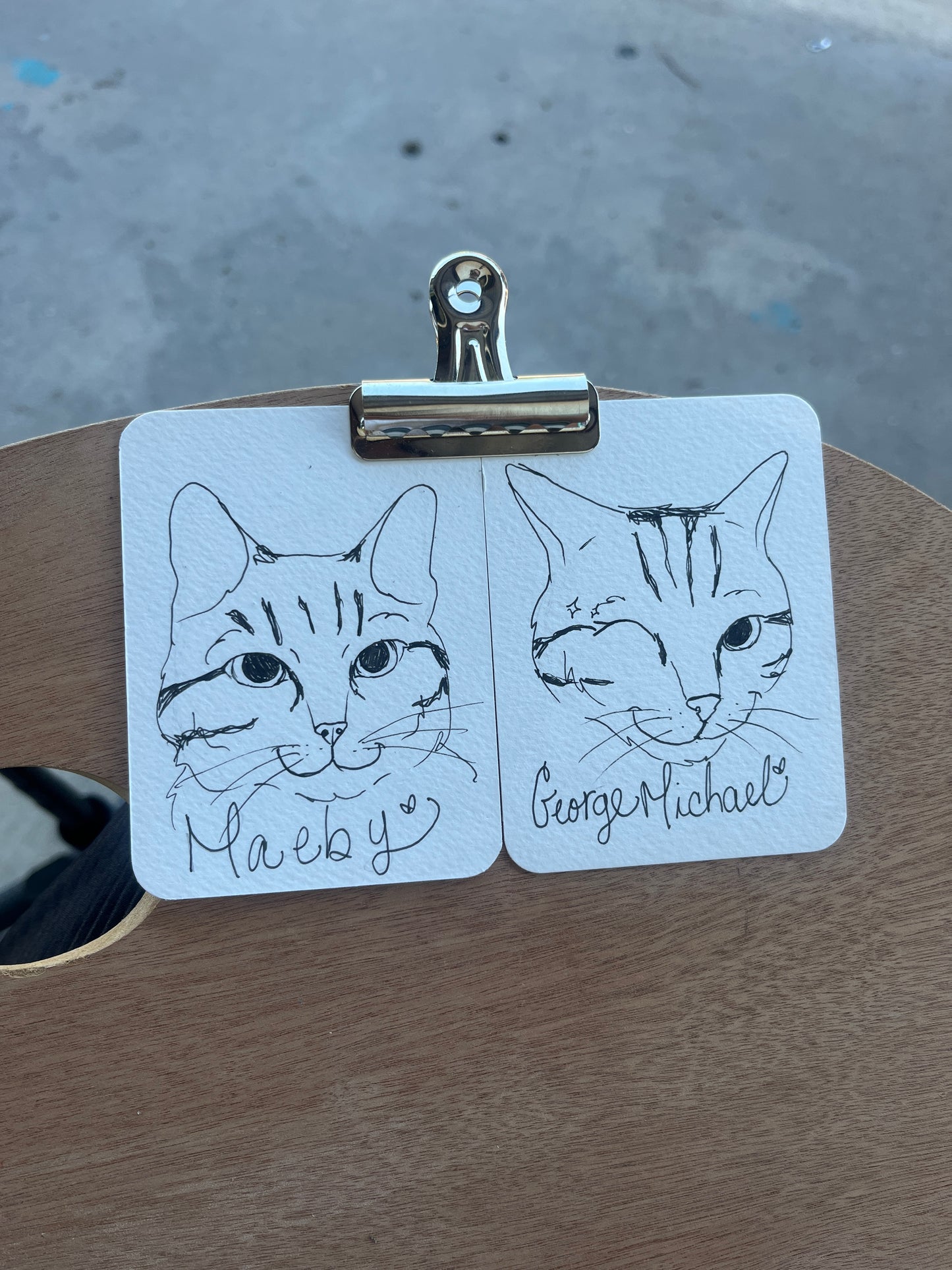 Custom Pet Doodle