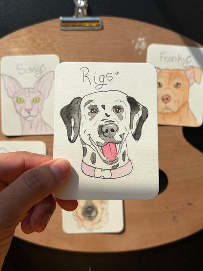 Custom Pet Doodle