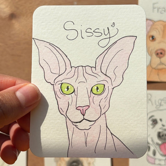 Custom Pet Doodle